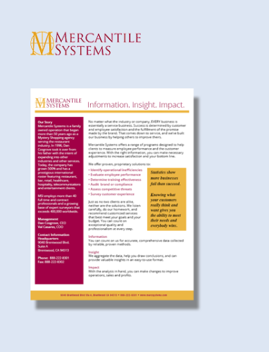 Case study of Mercantile Systems Inc.